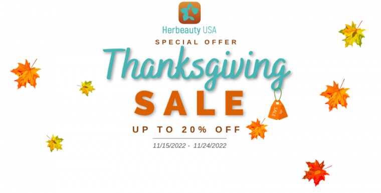 Thanksgiving Day Sale